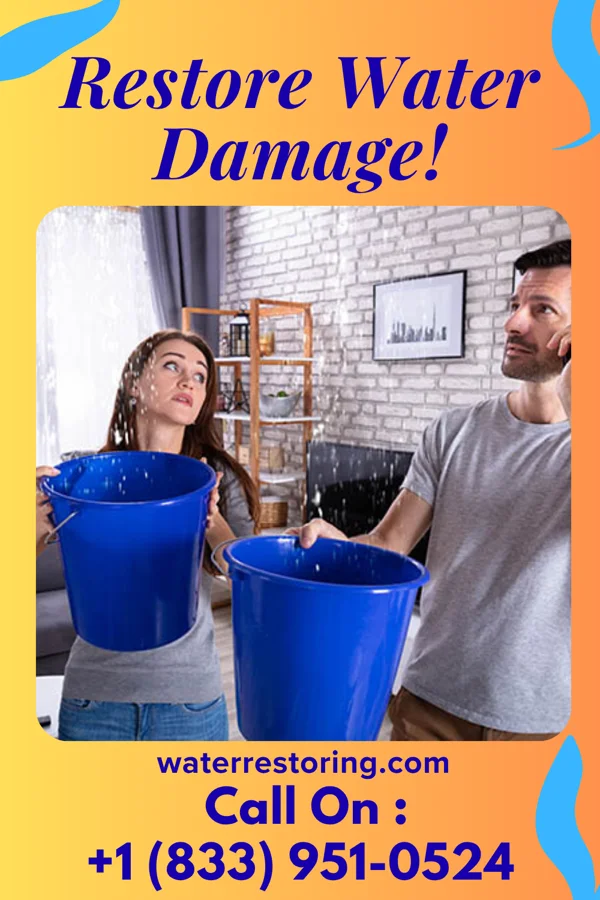 water restoration Flood Mitigation Professionals Tacoma