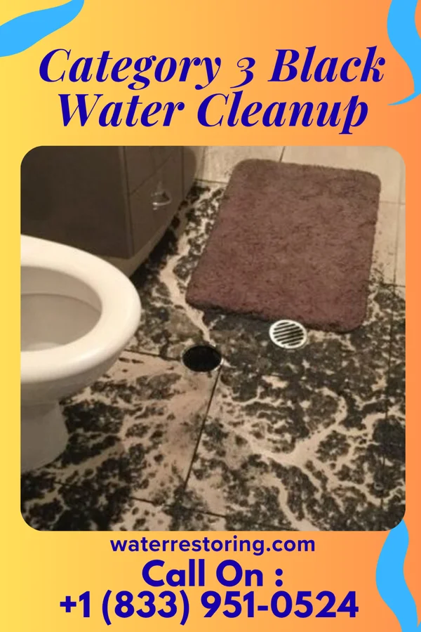 Category 3 Black Water Cleanup in Tacoma, VA