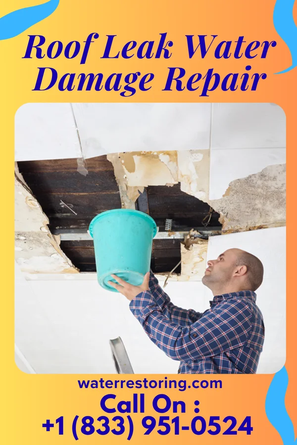 Roof Leak Water Damage Repair in Tacoma, VA