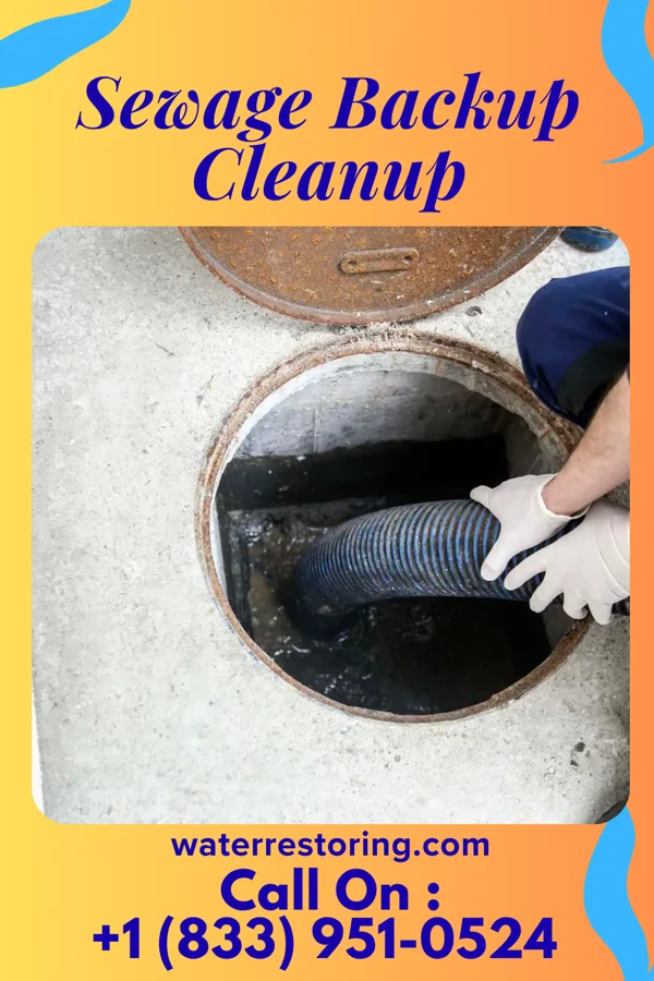 Sewage Backup Cleanup in Tacoma, VA