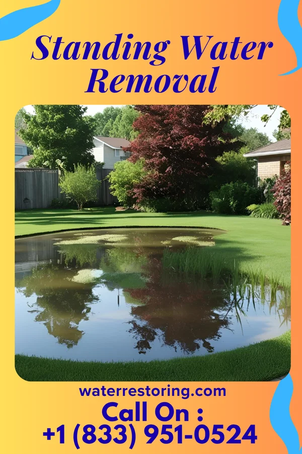 Standing Water Removal in Tacoma, VA